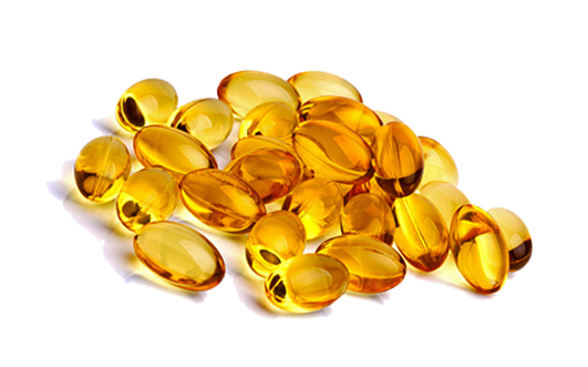 Fermented Cod Liver Oil Capsules (60 x 500mg Algigel) - Armorica