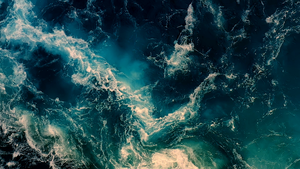 Armorica Fermented Cod Liver Oil & Rancidity Protection Armorica